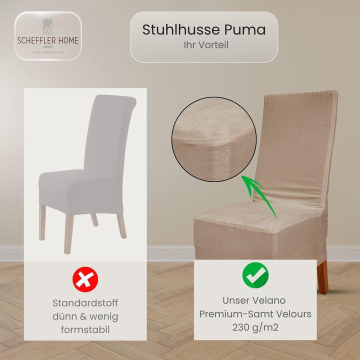 SCHEFFLER-Home Stretch Stuhlhussen Samt Puma Velvet/Velours Stuhlhussen 4er Set Grau lang/Stuhlabdec