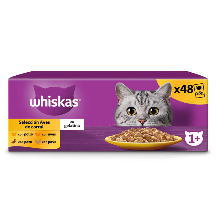 Whiskas Nassfutter für Erwachsene Katzen Auswahl Vögel in Gelatine Multipack (4 x 12 Beutel x 85 g)