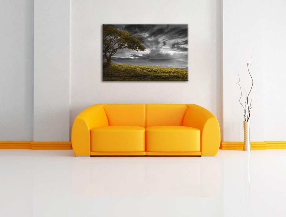 Alleinstehender Baum schwarz/weiss Format: 100x70 auf Leinwand, XXL riesige Bilder fertig gerahmt mi
