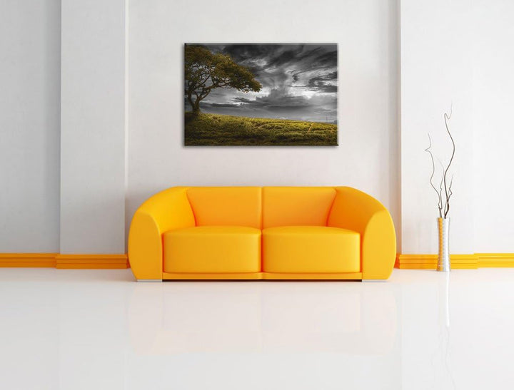 Alleinstehender Baum schwarz/weiss Format: 100x70 auf Leinwand, XXL riesige Bilder fertig gerahmt mi