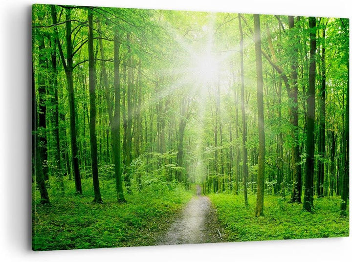 Bilder auf Leinwand 100x70cm Leinwandbild Sonnenstrahlen Wald Sommer Gross Wanddeko Bild Schlafzimme