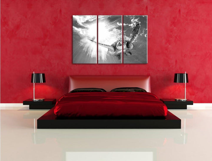 Pixxprint Grüne Meeresschildkröte Kunst B&W als Leinwandbild/Grösse: 3Teilig (120x80) / Wandbild/Kun
