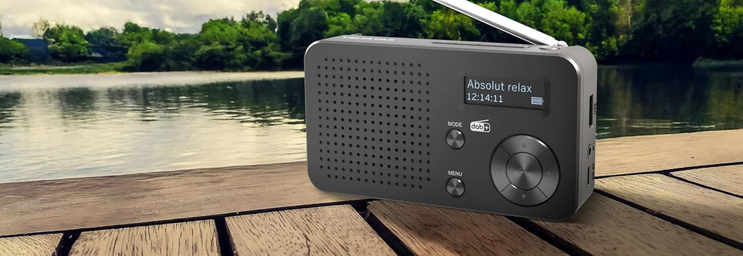 TELESTAR TOP 100 – Mobiles DAB+/UKW Radio (austauschbarer Akku, bis zu 15 Std. Spielzeit, kurzes Lad