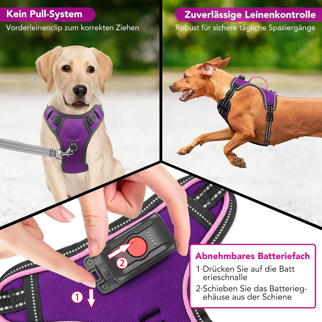 Hundegeschirr Leuchtend Wiederaufladbares Leuchtgeschirr für Hunde Led Beleuchtetes Hundegeschirr fü
