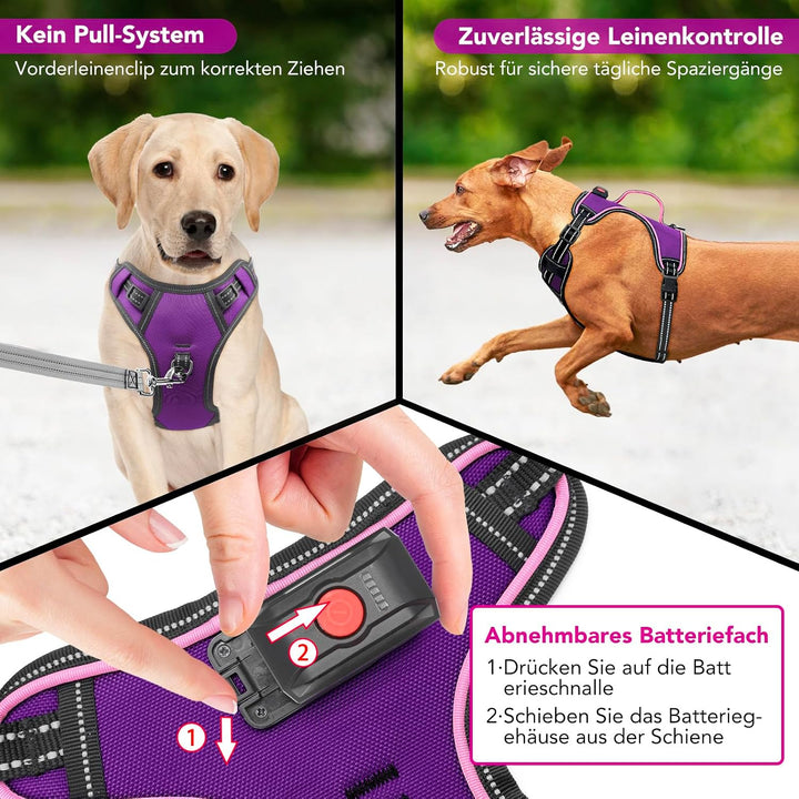 Hundegeschirr Leuchtend Wiederaufladbares Leuchtgeschirr für Hunde Led Beleuchtetes Hundegeschirr fü