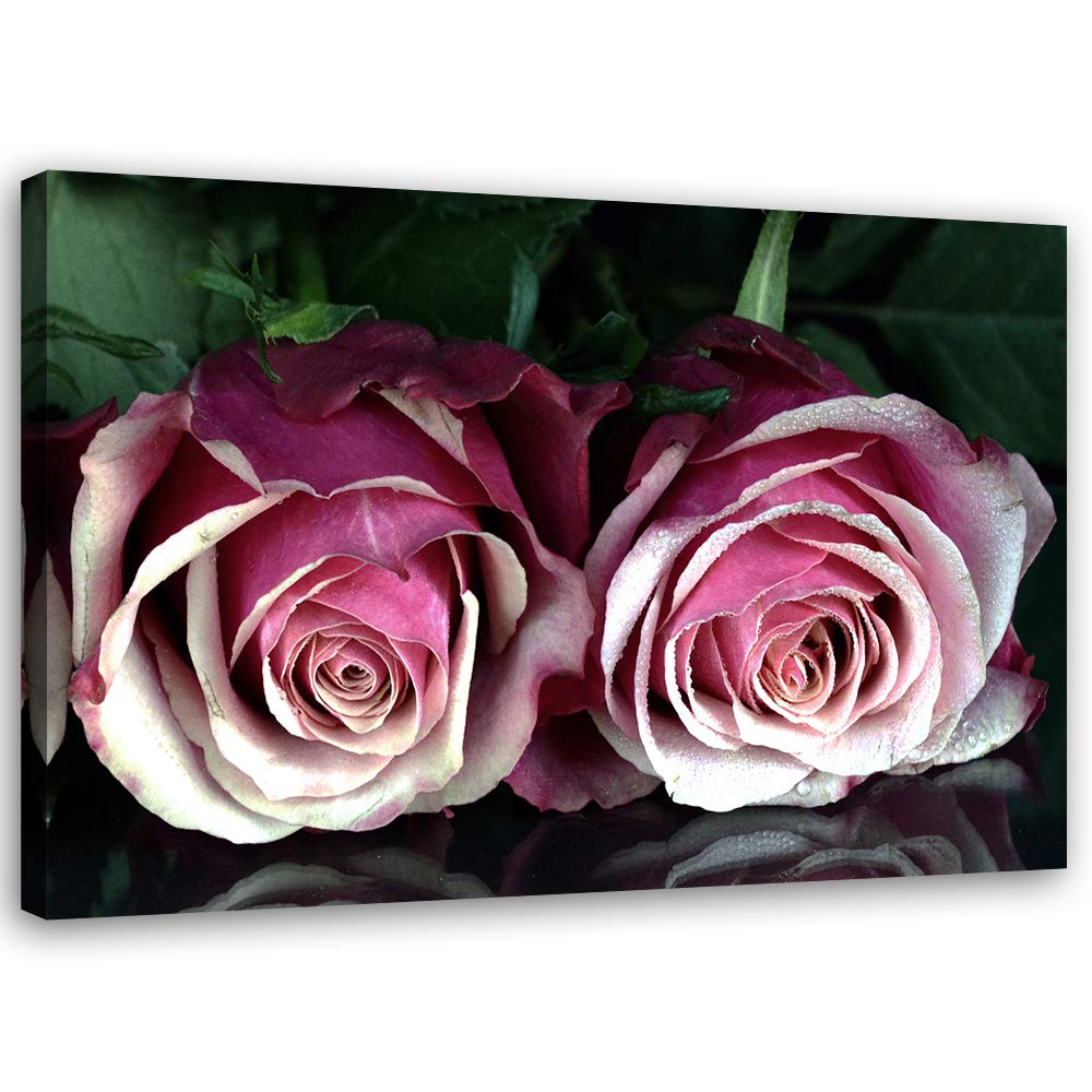 Feeby Wandbilder Blumen Lila Rosen XXL 90x60 cm 1Teilig Wohnzimmer Schlafzimmer Bilder Bild auf Lein