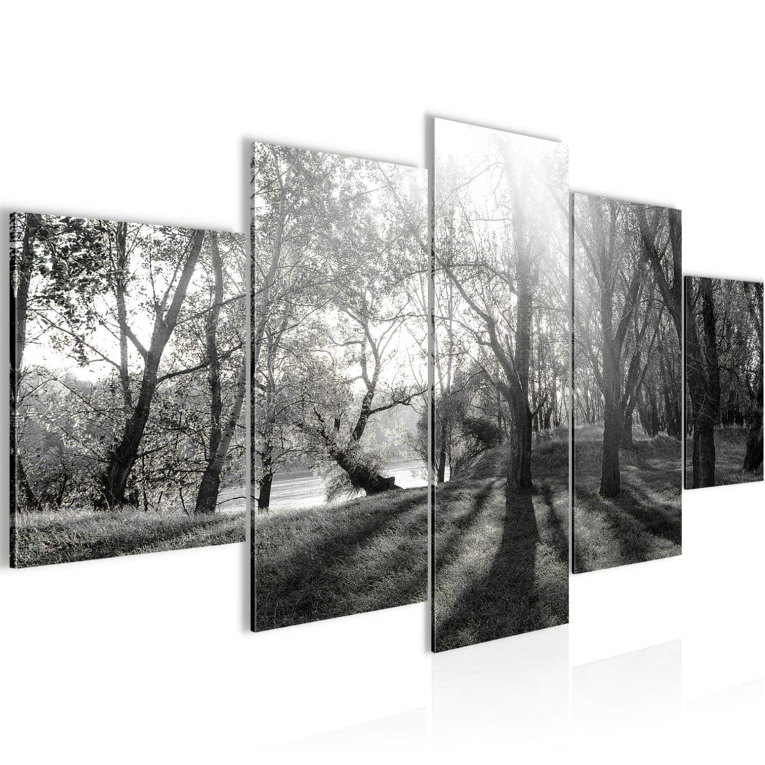 Runa Art Bild Schlafzimmer Wohnzimmer Wald Landschaft 5 Teilig Sonne Schwarz Weiss Wandbilder auf Vl