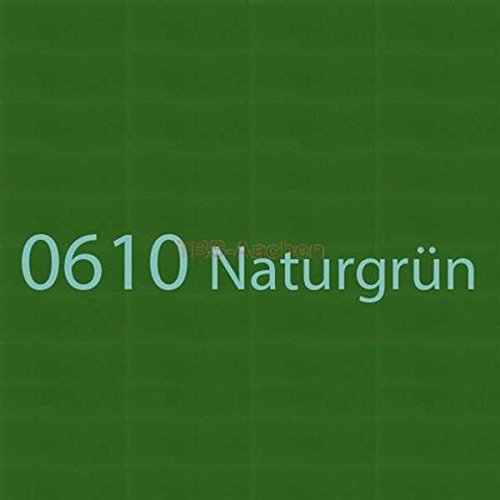 Branths S-Glasur 0,75 l Dose 0610 Naturgrün (26,60 EUR/l)