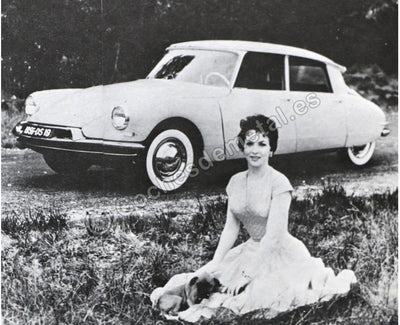 NOREV - CIT DS 19-1956 - 1/18