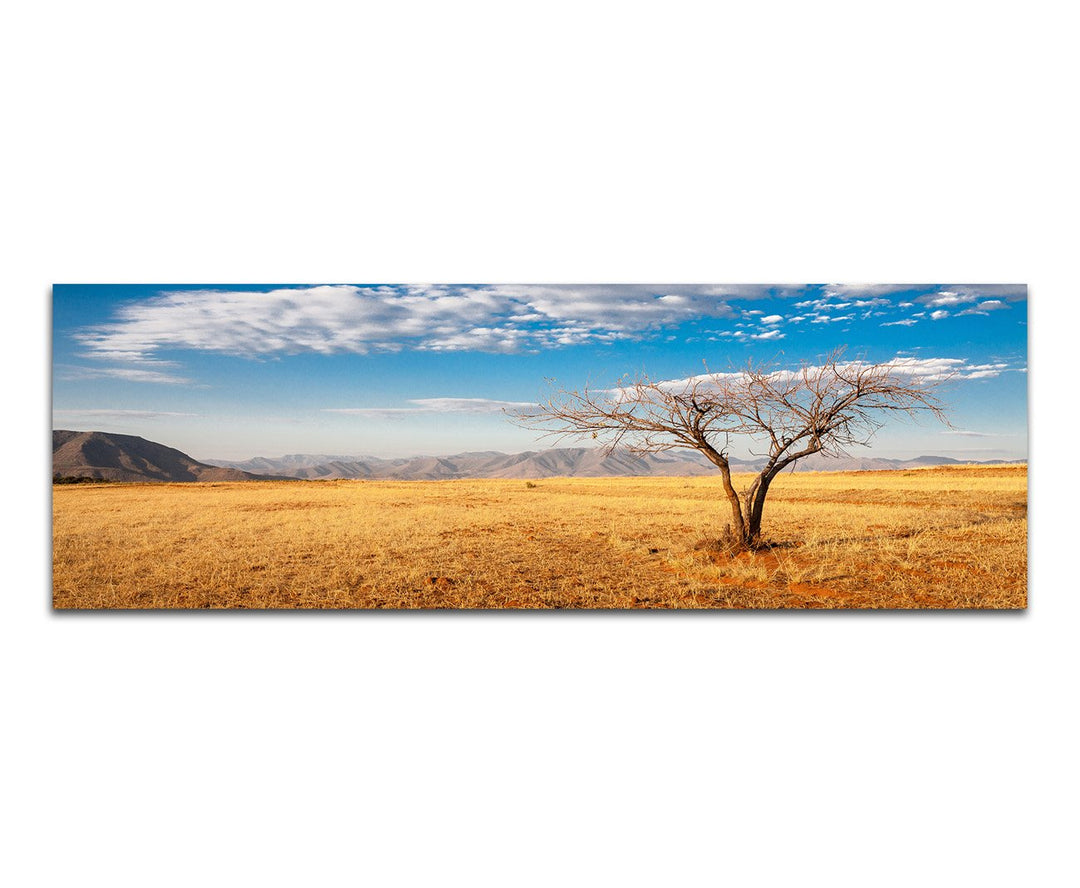 Paul Sinus Art Panoramabild auf Leinwand und Keilrahmen 120x40cm Afrika Steppe Berge Baum Himmel Wol