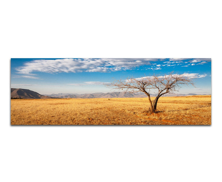 Paul Sinus Art Panoramabild auf Leinwand und Keilrahmen 120x40cm Afrika Steppe Berge Baum Himmel Wol