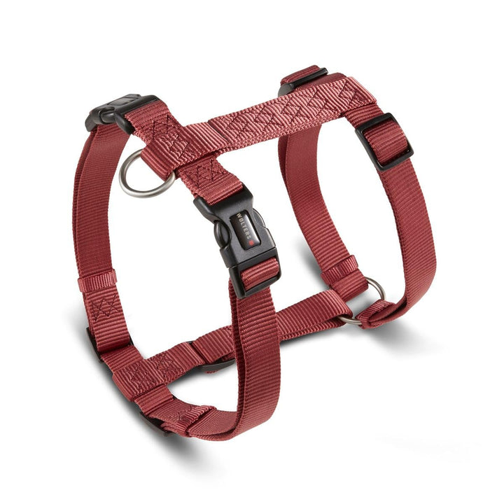 Wolters Geschirr Professional, Grösse:XL 75-100 cm x 25 mm, Farbe:rost rot XL 75 - 100 cm x 25 mm ro