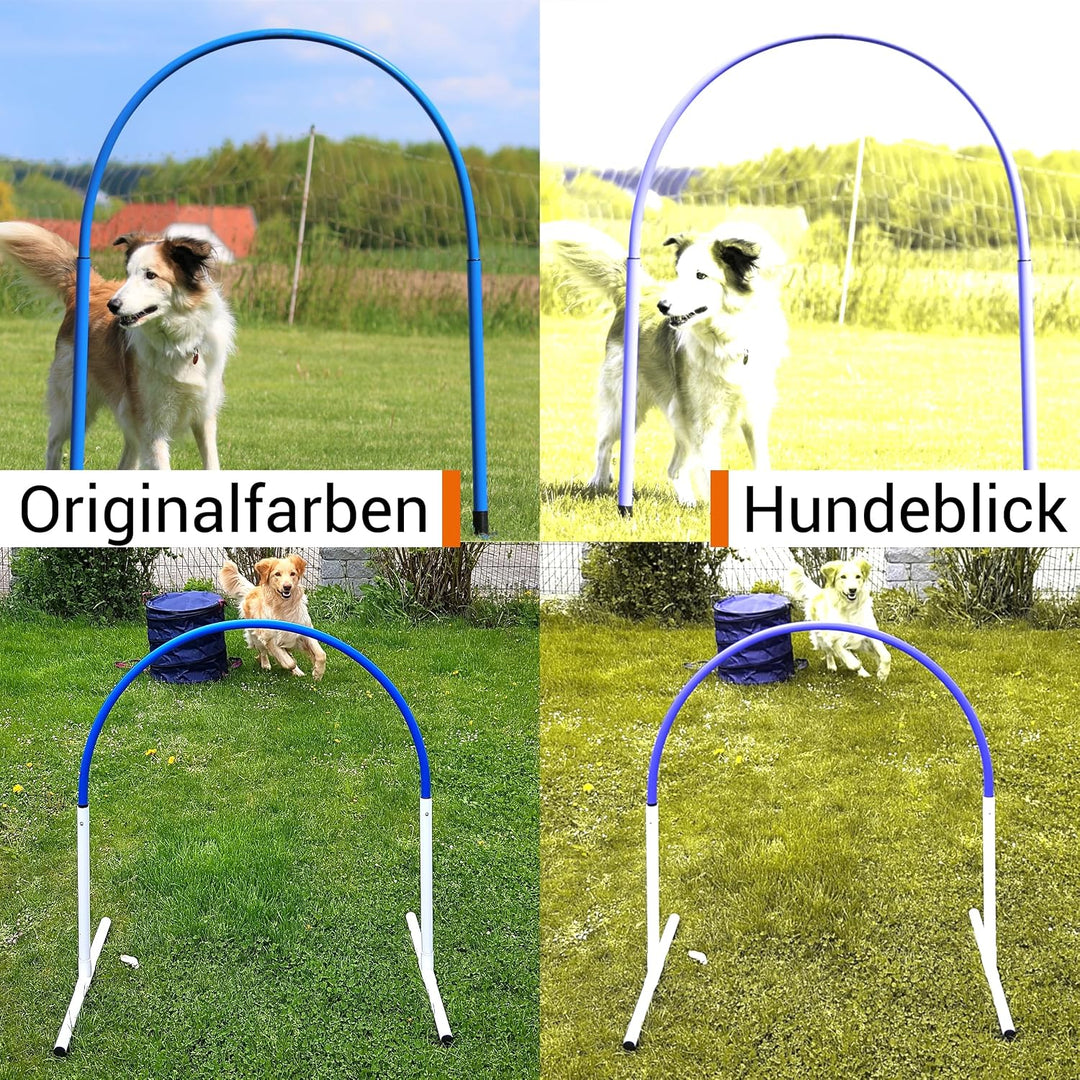 Hoopers Hoop – wetterfest, VDH-konform &amp; farbig – mit Stecksystem für sicheres Hundetraining – aus r