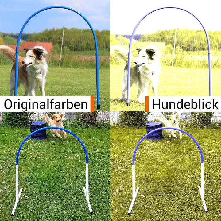 Hoopers Hoop – wetterfest, VDH-konform &amp; farbig – mit Stecksystem für sicheres Hundetraining – aus r