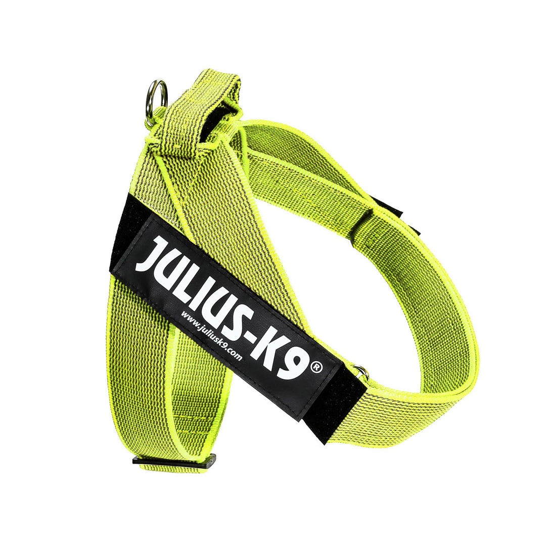 Julius-K9, Color & Gray, Beltgeschirr L / 1 neon-grau, L / 1 neon-grau