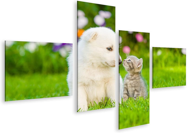 islandburner Bild auf Leinwand Kätzchen Küssen Weisse Schweizer Schäfer Welpen Auf Grünem Gras Wandb