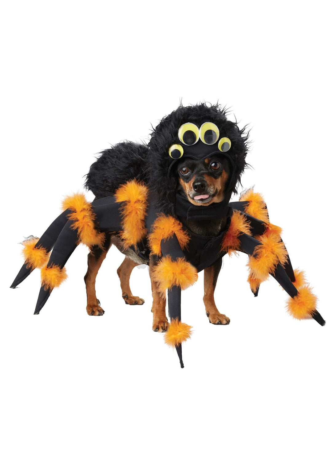 California Costumes Collections PET20149 Spinnenkostüm für Hunde, XS Siehe Abbildung XS, Siehe Abbil