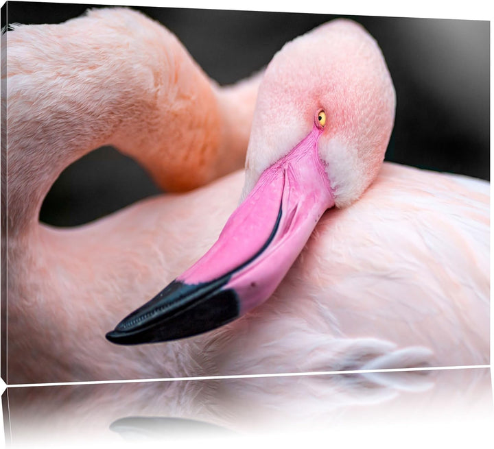 eleganter Flamingo schwarz/weiss Format: 100x70auf Leinwand, XXL riesige Bilder fertig gerahmt mit K