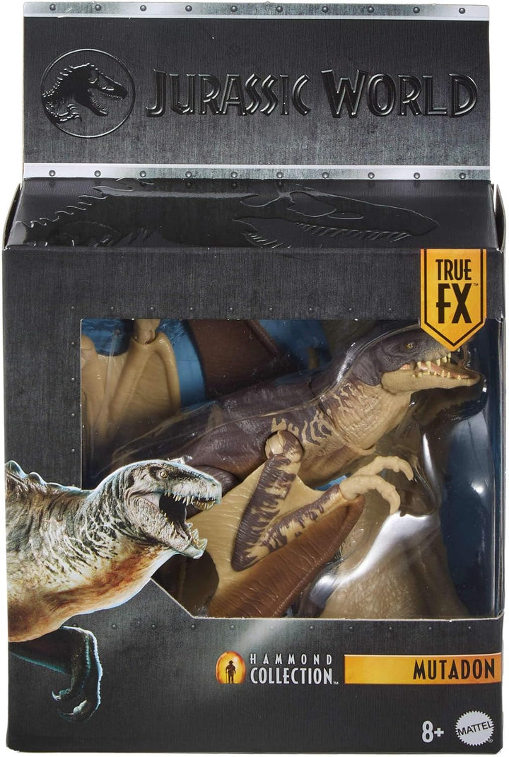 Mattel Jurassic World Hammond Collection Dinosaurier Actionfigur Mutadon, Premium-Design mit realist