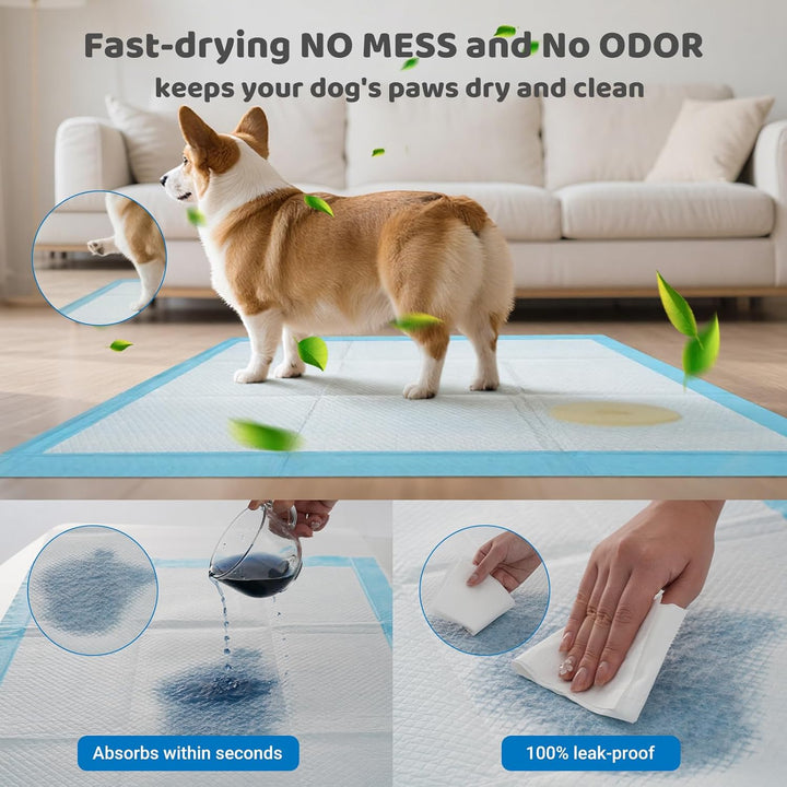 Trainingspads für Hunde 60x90cm – 40 Stück Extra Grosse PIPI Matten, Super Saugfähig & Auslaufsicher