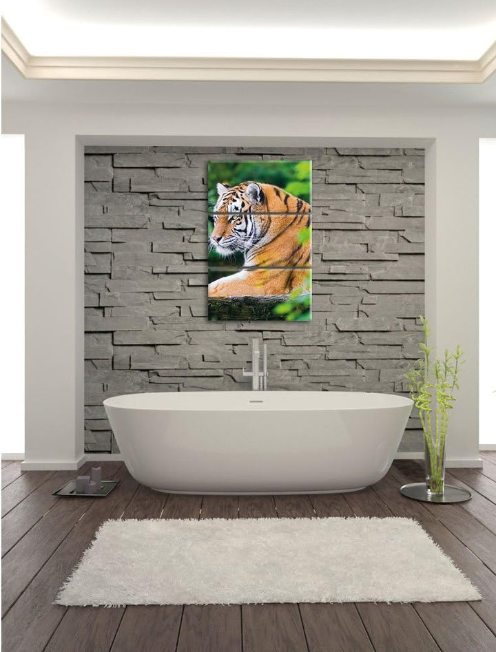 Pixxprint anmutiger Tiger auf Baumstamm als Leinwandbild/Grösse: 3 Teilig (120x80) cm/Wandbild/Kunst