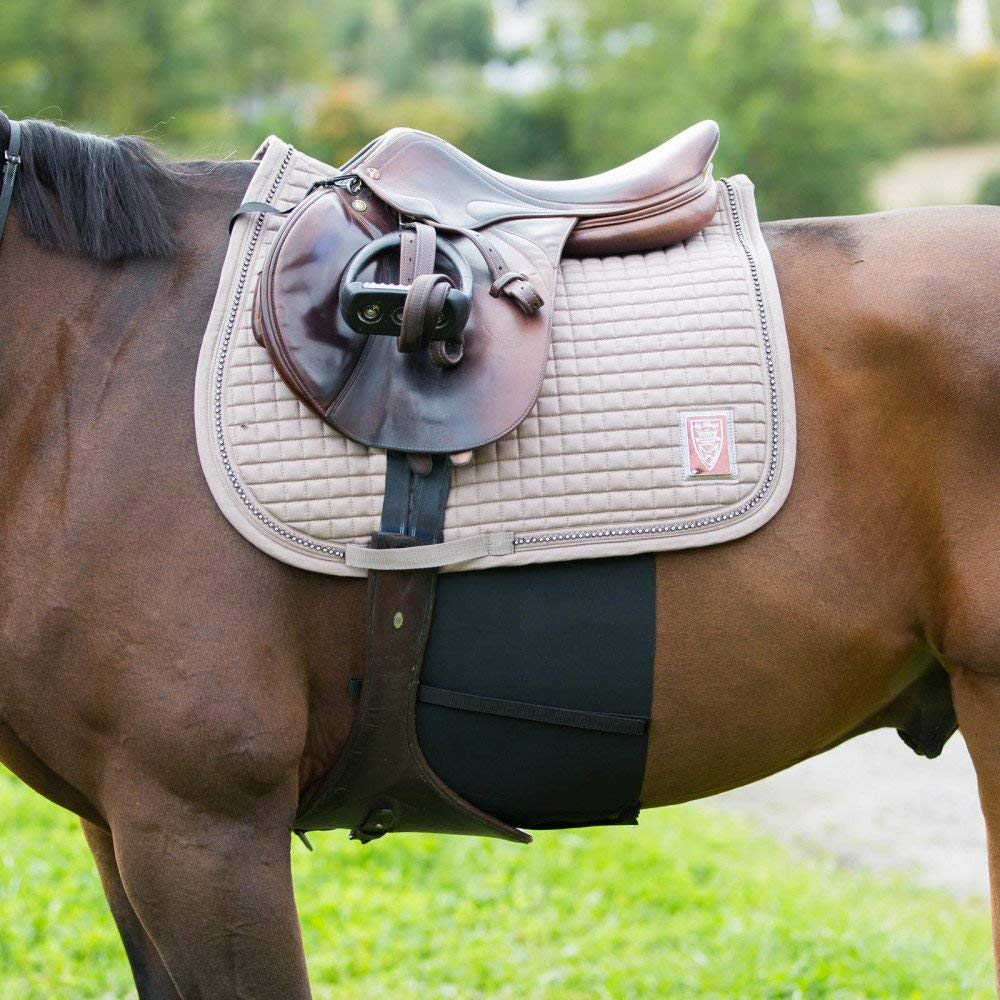 HORZE Pferde Sporenschutzgurt, elastischer Gurtschoner für Pferde und Pony, Schwarz, F, Schwarz F