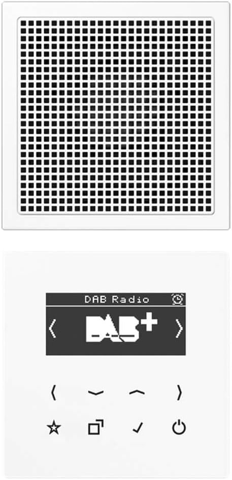 Smart Radio DAB + Set Mono S LS Lautsprecher weiss alpinweiss Set Weiss mit 1 Lautsprecher, Set Weis
