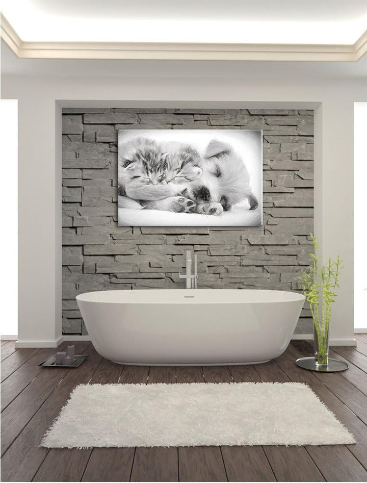 Pixxprint Hundewelpe mit kleinen Kätzchen als Leinwandbild/Grösse: 100x70 cm/Wandbild/Kunstdruck/fer