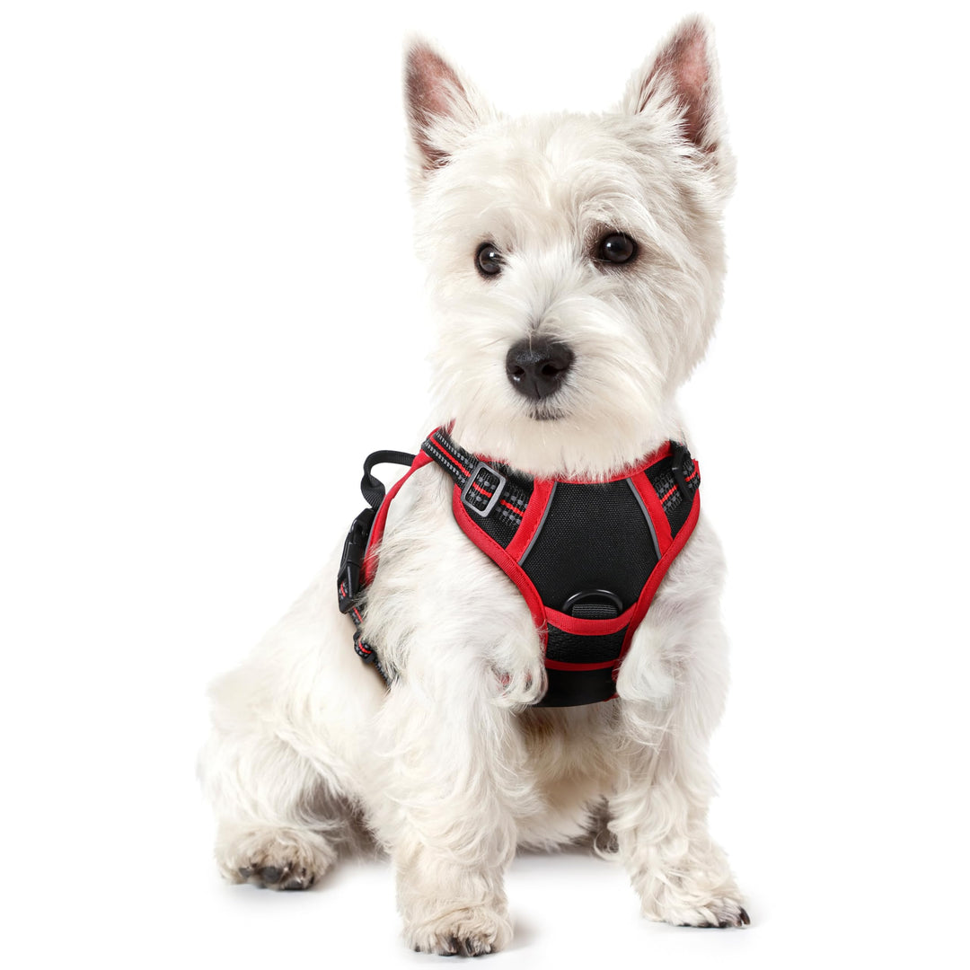 rabbitgoo Hundegeschirr Kleine Hunde, Anti Zug Geschirr mit Kontrolle, No Pull Verstellbar Hundegesc