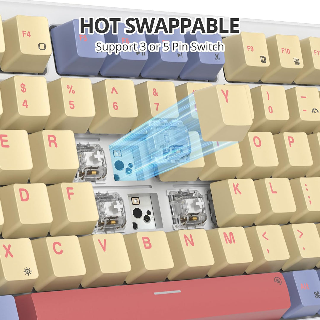 SOLIDEE Verkabelte Mechanische Gaming Tastatur 75 Prozent,hot-swap-fähige Mechanische Tastatur mit G
