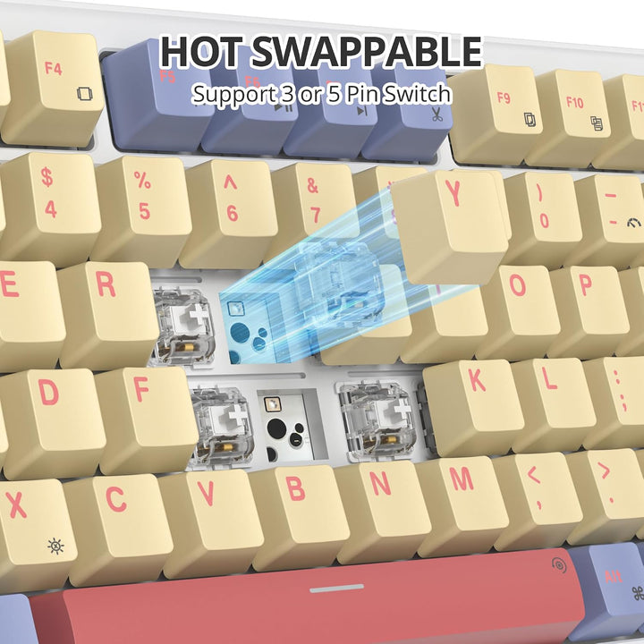 SOLIDEE Verkabelte Mechanische Gaming Tastatur 75 Prozent,hot-swap-fähige Mechanische Tastatur mit G