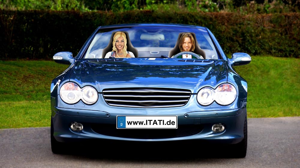 Autositzbezug Frankenstein in Love Beifahrer-Schonbezug Auto-Sitzbezug Fotodruck Neue Motive täusche
