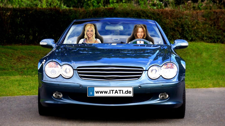 Autositzbezug Frankenstein in Love Beifahrer-Schonbezug Auto-Sitzbezug Fotodruck Neue Motive täusche