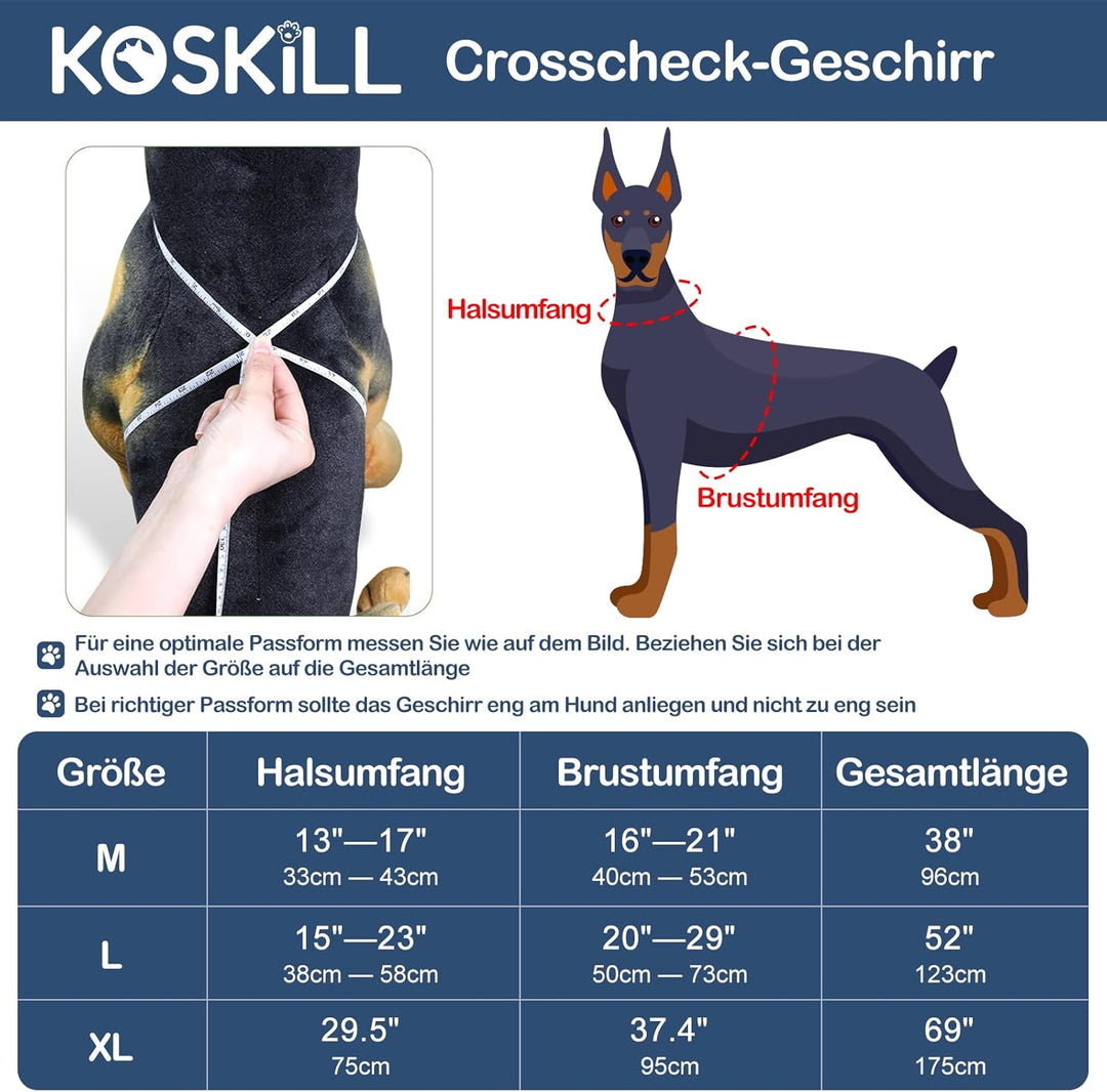 Beleuchtetes Hundegeschirr LED, Wiederaufladbar, Für Nachtspaziergänge Blau, M M Blau, M Blau