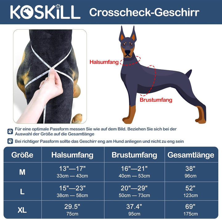 Beleuchtetes Hundegeschirr LED, Wiederaufladbar, Für Nachtspaziergänge Blau, M M Blau, M Blau