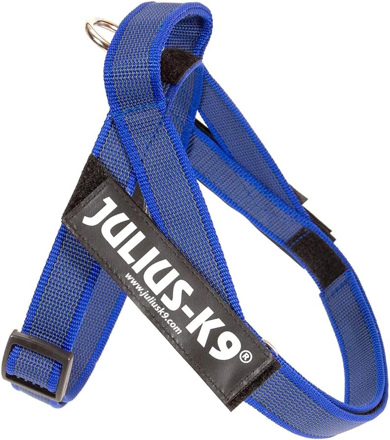 Julius-K9, IDC® Color &amp; Gray® Beltgeschirr blau-grau XS / Mini-Mini, blau-grau XS / Mini-Mini