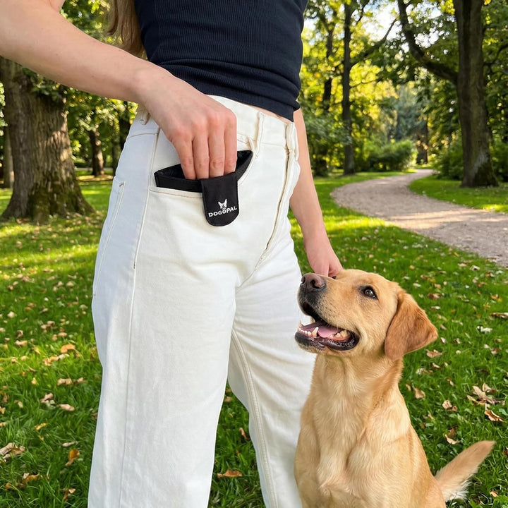DOGOPAL Leckerlitasche für Hunde mit Magnetverschluss, kompakter Leckerlibeutel für Hundetraining, s