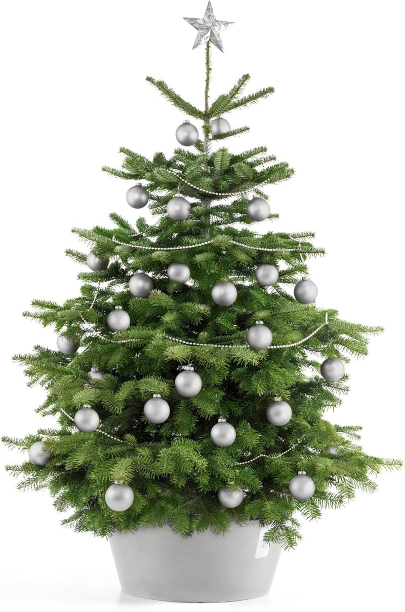Ecopots Christbaumständer mit Wasserspeicher für Bäume bis 3,00 m Baumhöhe umkippsicher - Tannenbaum