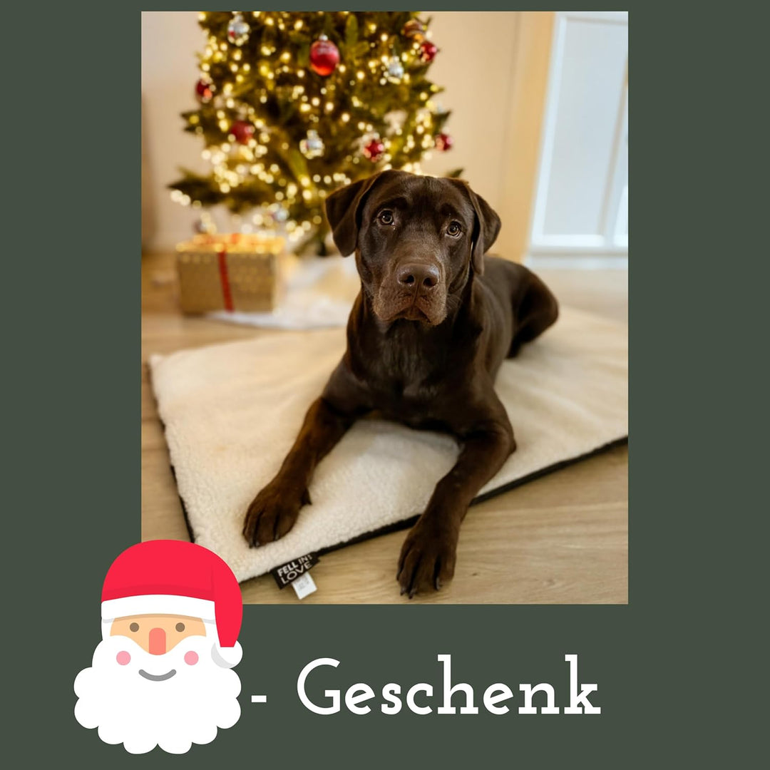 Fellou Heizdecke Katze 60 x 40 cm - Selbstheizende Decke Katze - Waschbar & Knisterfrei - Wärmedecke