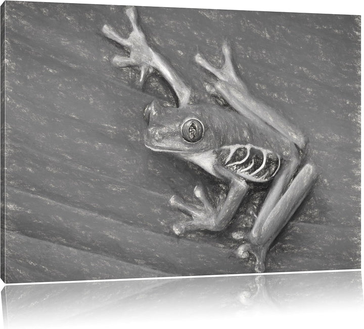 Pixxprint Frosch auf Blatt / 100x70cm Leinwandbild bespannt auf Holzrahmen/Wandbild Kunstdruck Dekor