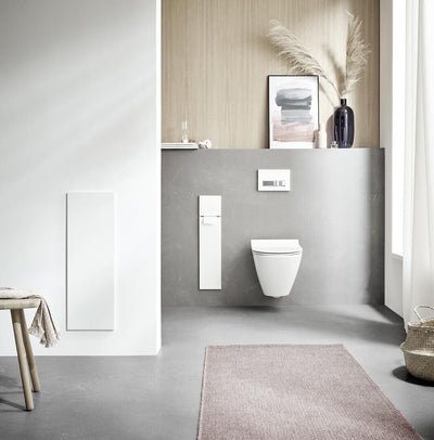 Emco Asis Pure Unterputz-WC-Modul, Badezimmerschrank als Klobürsten- und Toilettenpapierhalter mit e