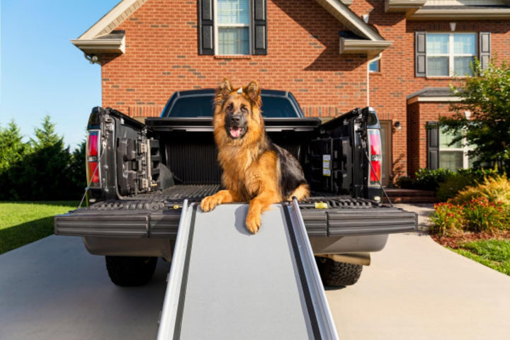 PetSafe Happy Ride Teleskop-Hunderampe, Leichteres Ein- und Aussteigen für Hunde, Rutschfest, XL, Bi