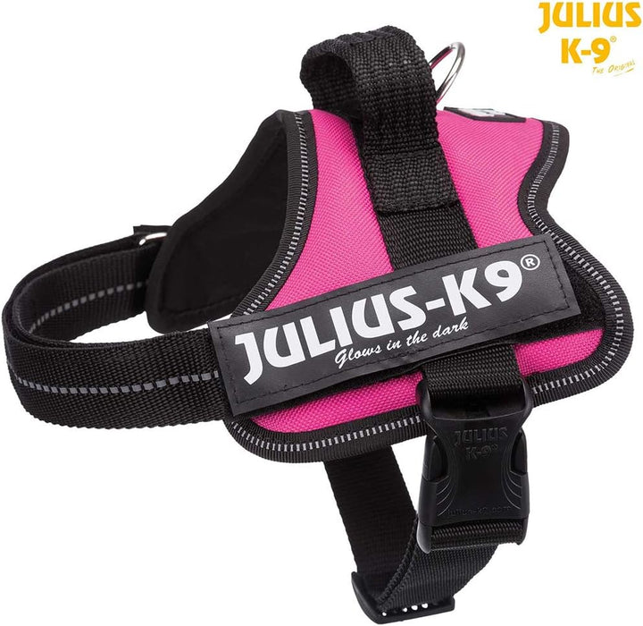 K9 Powergeschirr, Grösse: XS/Mini-Mini, Aquamarine Anthrazit M/0, Anthrazit M/0