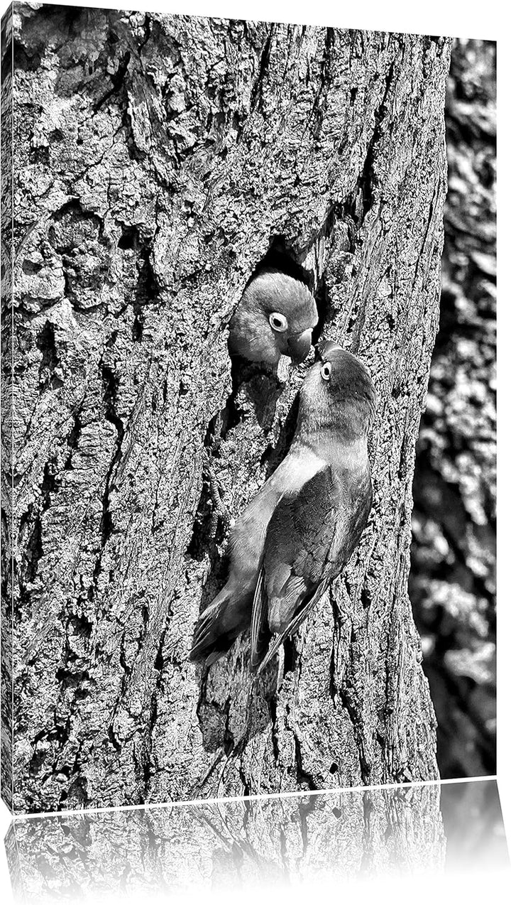 Monocrome, Papageienpaar, Format: 100x70 auf Leinwand, XXL riesige Bilder fertig gerahmt mit Keilrah