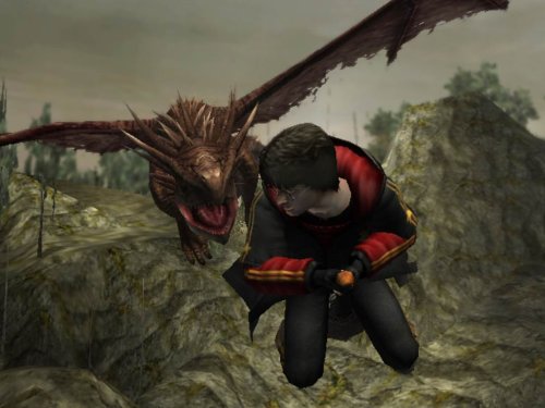 Harry Potter und der Feuerkelch GameCube Standard, GameCube Standard