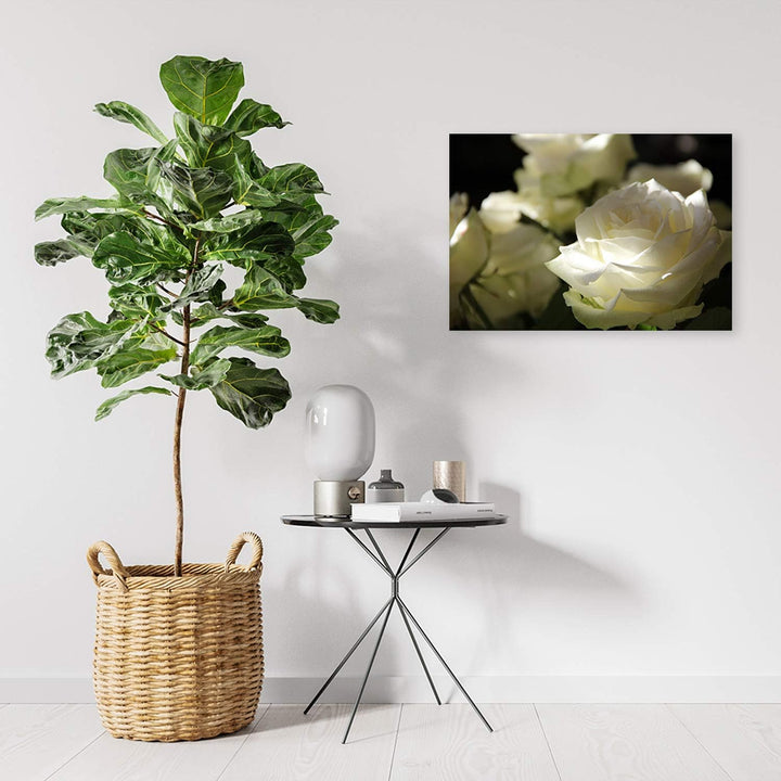 Feeby Bilder Blumen Weisse Rosen 90x60 cm 1Teilig Wohnzimmer Schlafzimmer Modern Wandbilder Bild auf