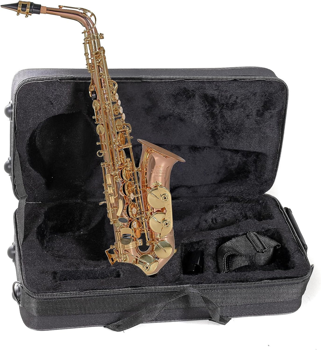Roy Benson Eb-Alt Saxophon MOD:AS-202G Bronze Korpus lack., inkl. leichtem Rechtecketui, AS-202G