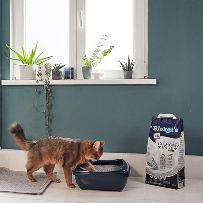 Biokat's Diamond Care Classic ohne Duft - Feine Katzenstreu mit Aktivkohle und Aloe Vera - 1 Sack (1