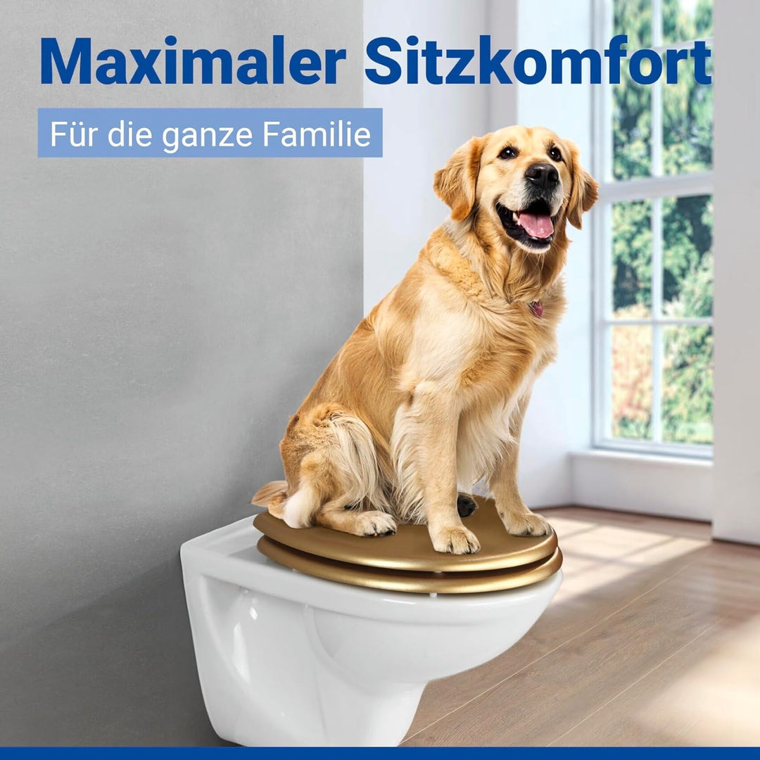 WENKO WC-Sitz Aldeno Gold matt, Toilettensitz aus MDF mit Edelstahl-Befestigung, foliert, dezente Ho