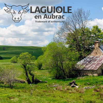 Laguiole en Aubrac Kellnermesser Schlangenholz Amourette Edelstahl glänzend SOM99AMI Sommelierbestec